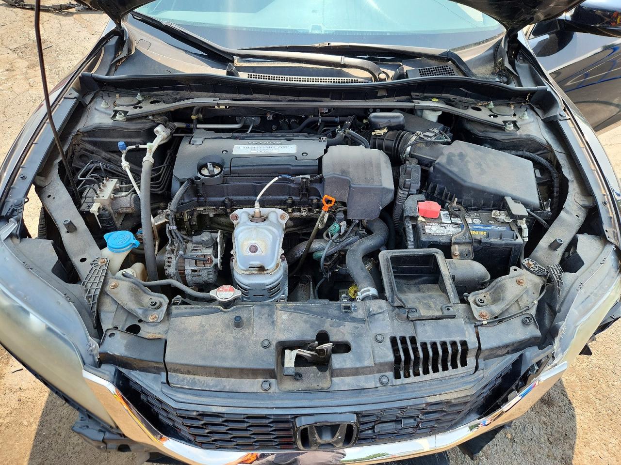 2013 Honda Accord Exl Black vin: 1HGCT1B83DA017695