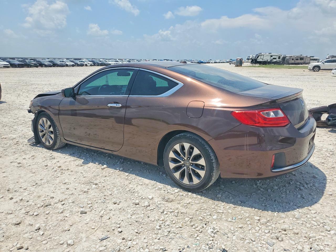 2013 Honda Accord Exl Brown vin: 1HGCT1B83DA019253