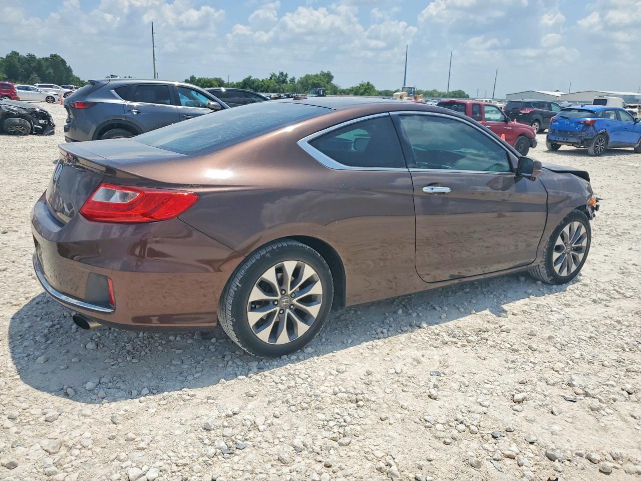 2013 Honda Accord Exl Brown vin: 1HGCT1B83DA019253