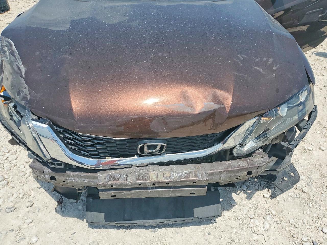 2013 Honda Accord Exl Brown vin: 1HGCT1B83DA019253