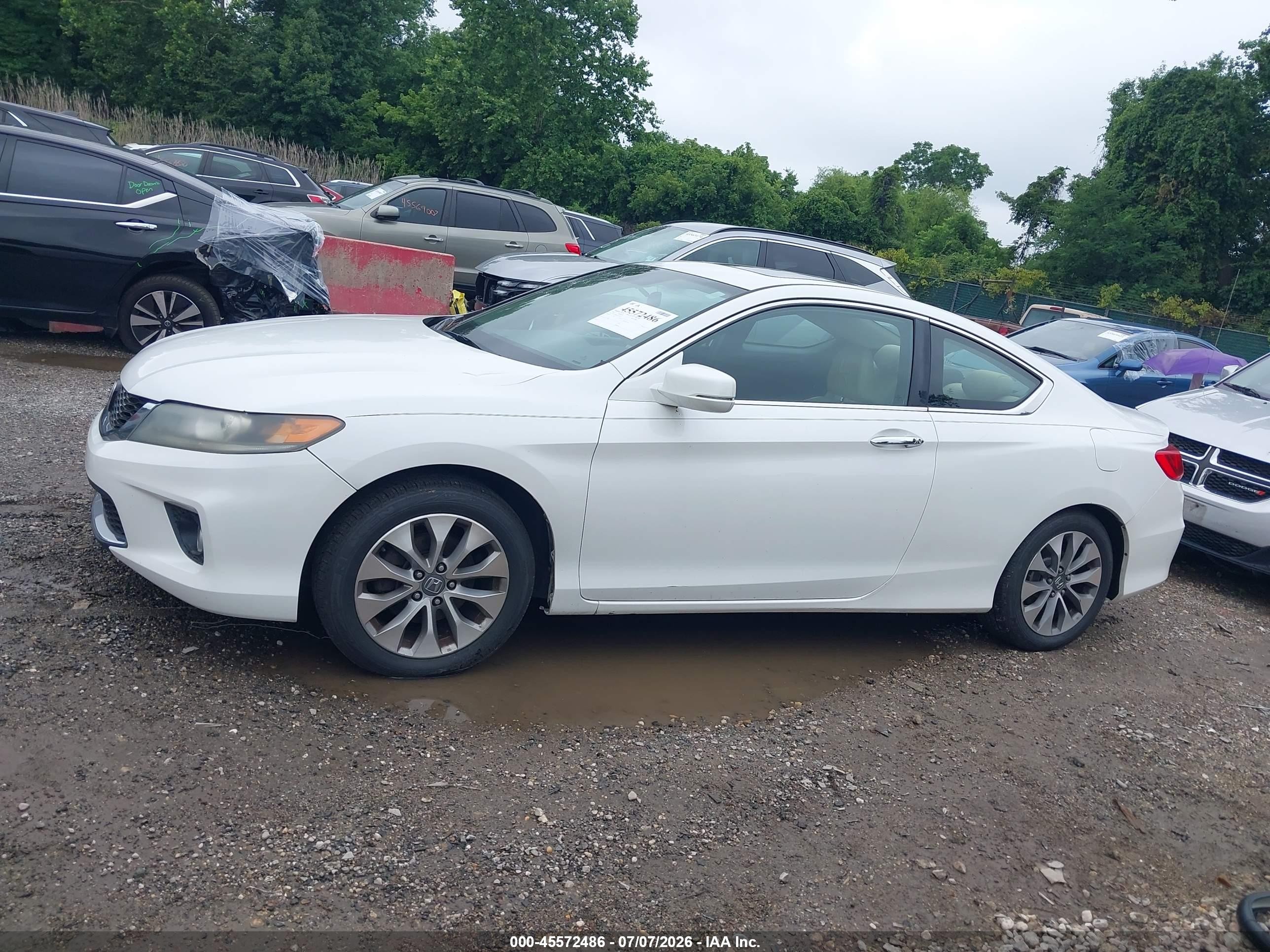 2014 Honda Accord Ex-l White vin: 1HGCT1B83EA016533