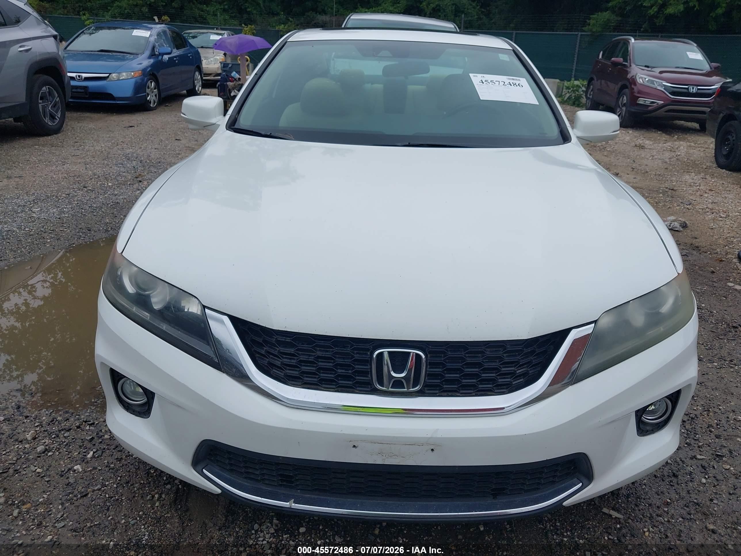 2014 Honda Accord Ex-l White vin: 1HGCT1B83EA016533