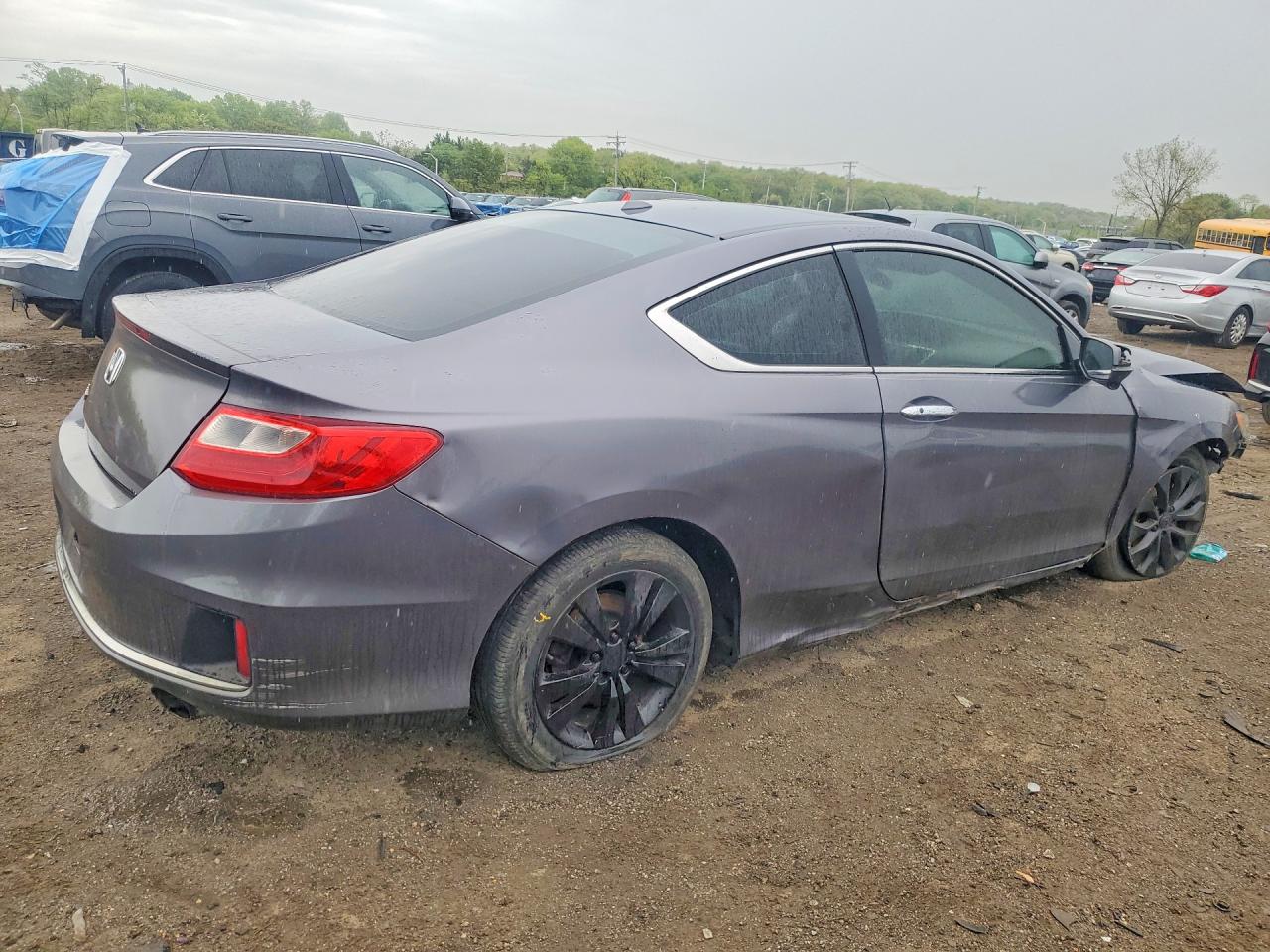 2014 Honda Accord Exl Gray vin: 1HGCT1B84EA005279