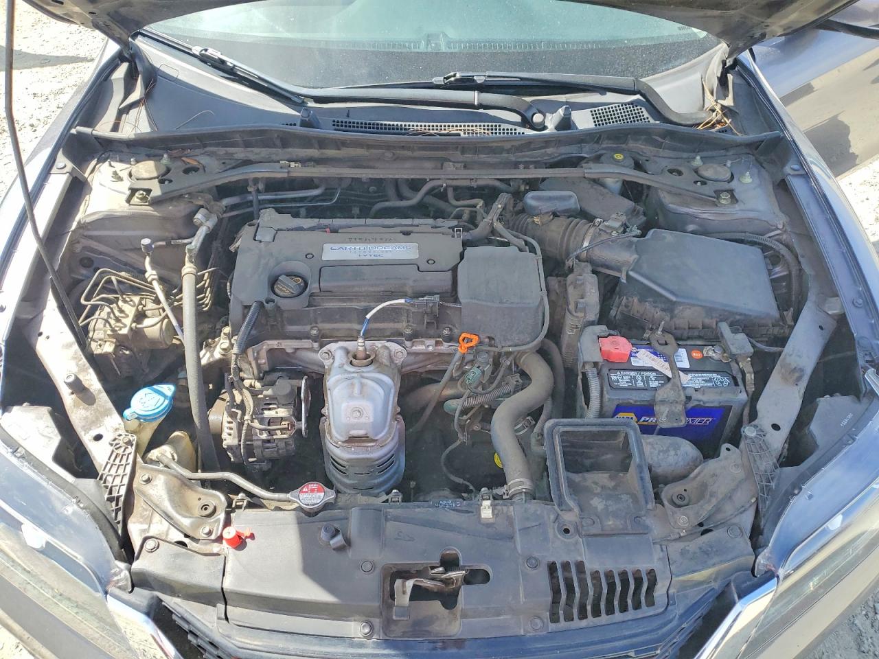 2014 Honda Accord Exl Серый vin: 1HGCT1B84EA009042
