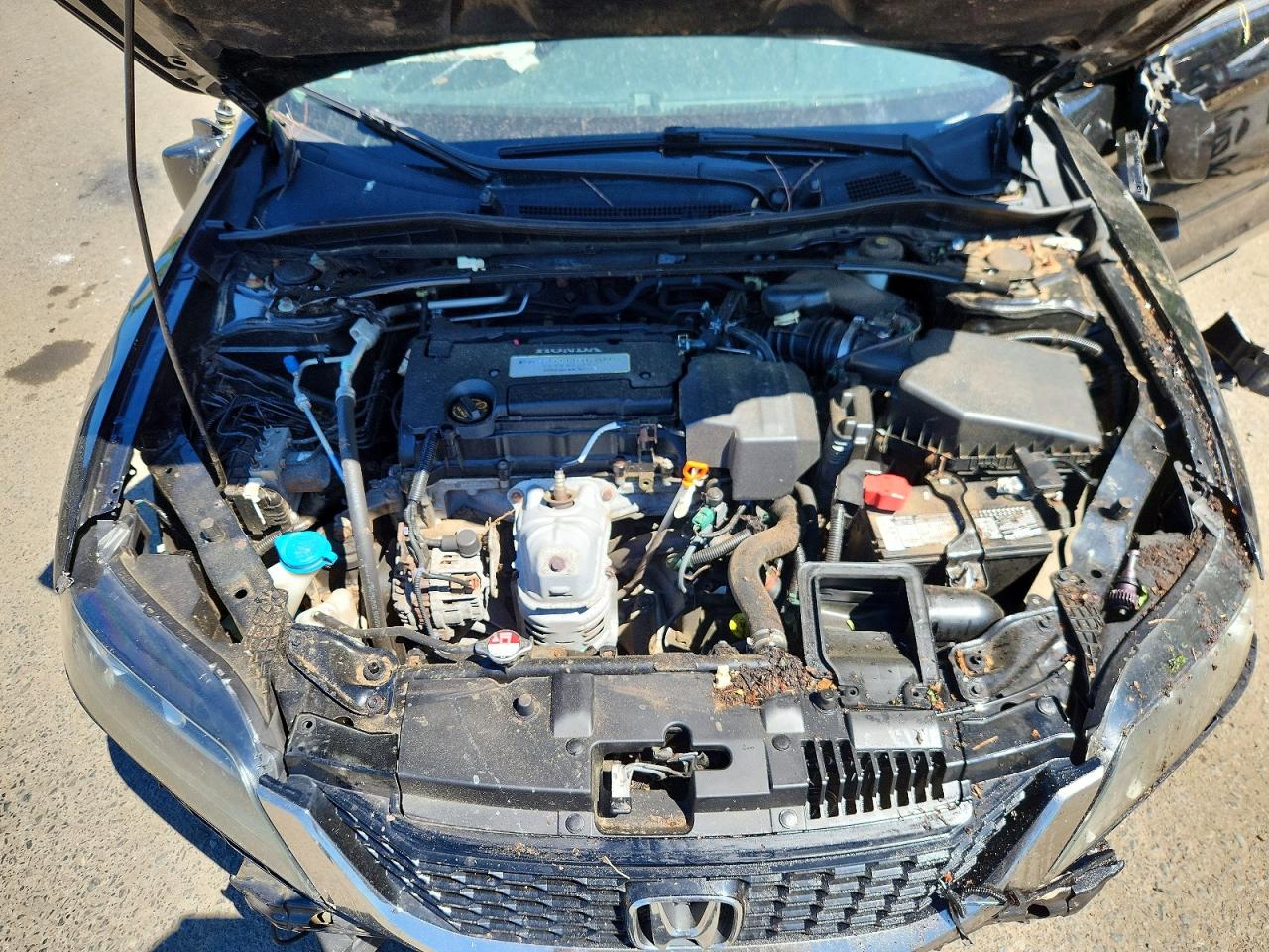 2013 Honda Accord Exl Black vin: 1HGCT1B85DA007749
