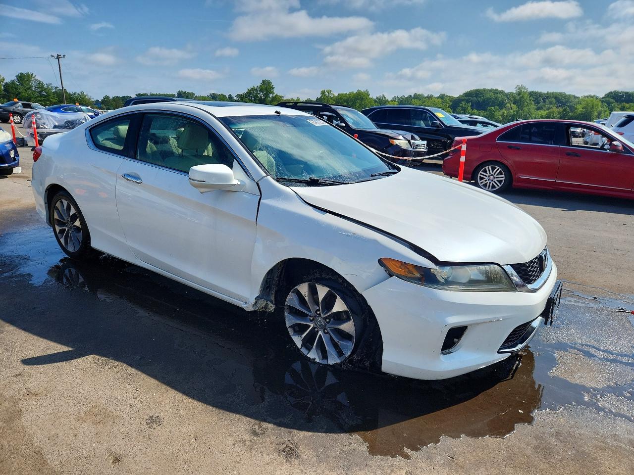 2013 Honda Accord Exl White vin: 1HGCT1B86DA018582