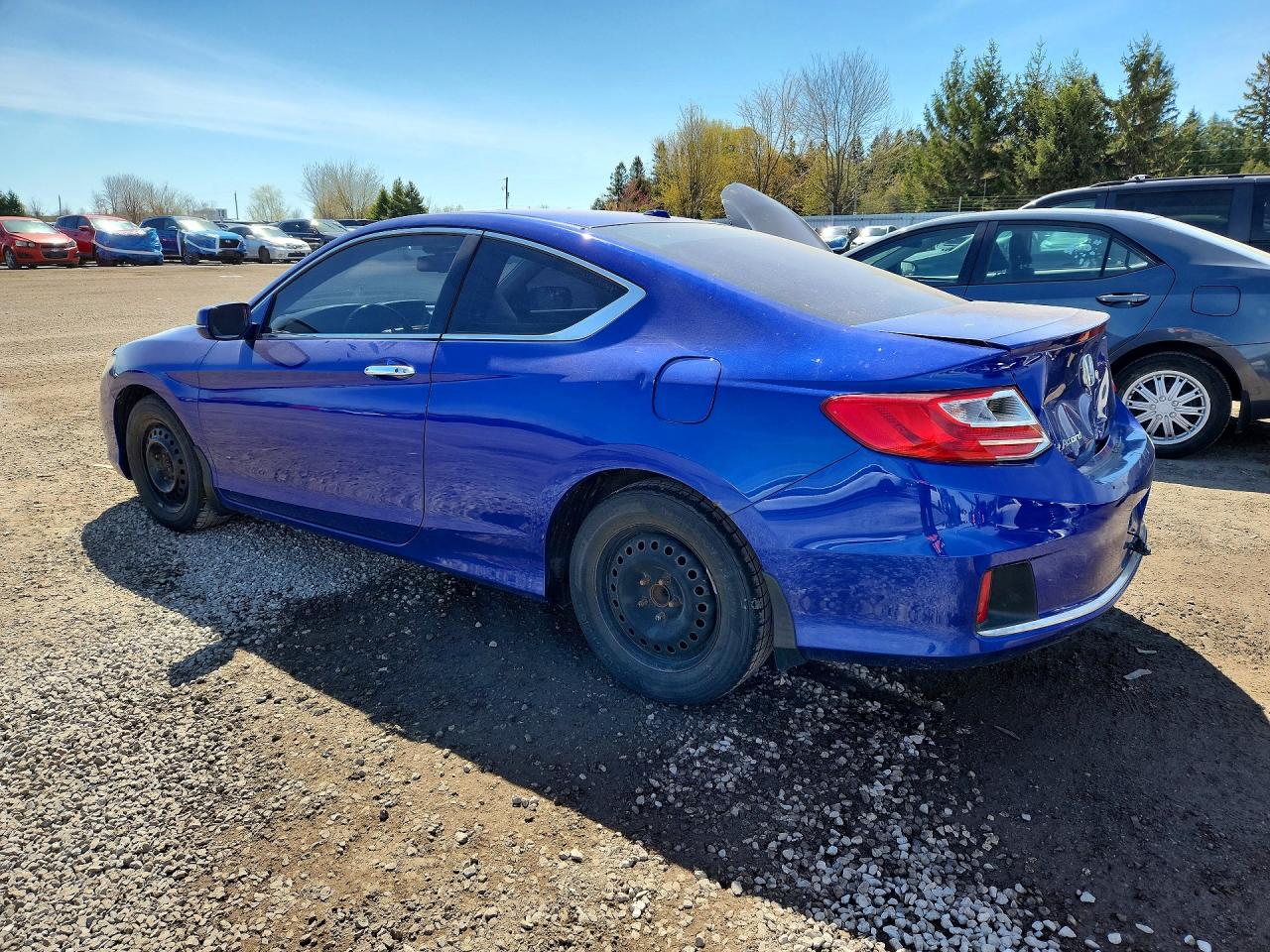 2013 Honda Accord Exl Blue vin: 1HGCT1B87DA800924