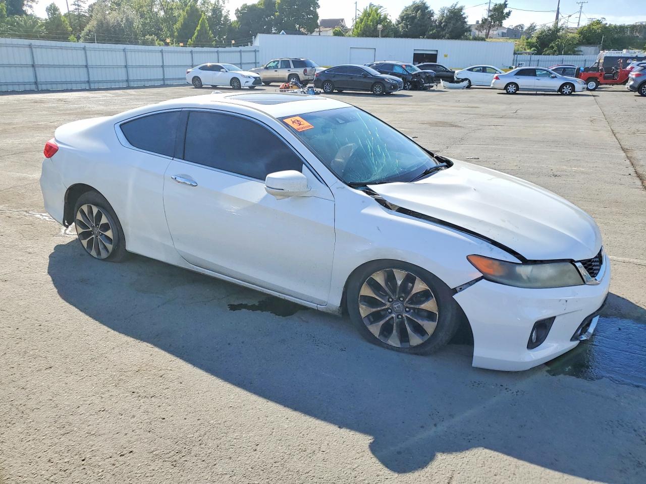 2013 Honda Accord Exl White vin: 1HGCT1B88DA008216