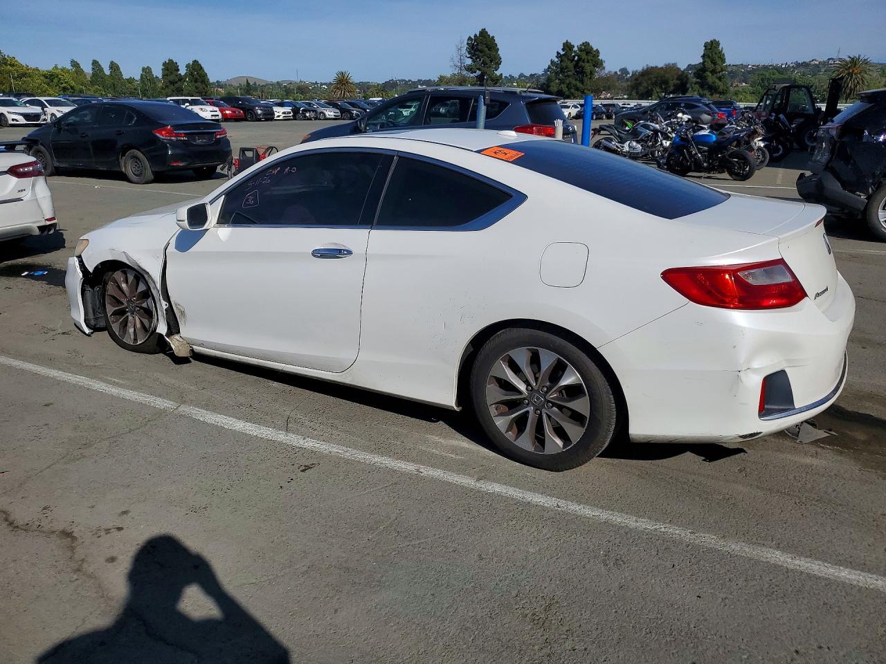 2013 Honda Accord Exl White vin: 1HGCT1B88DA008216
