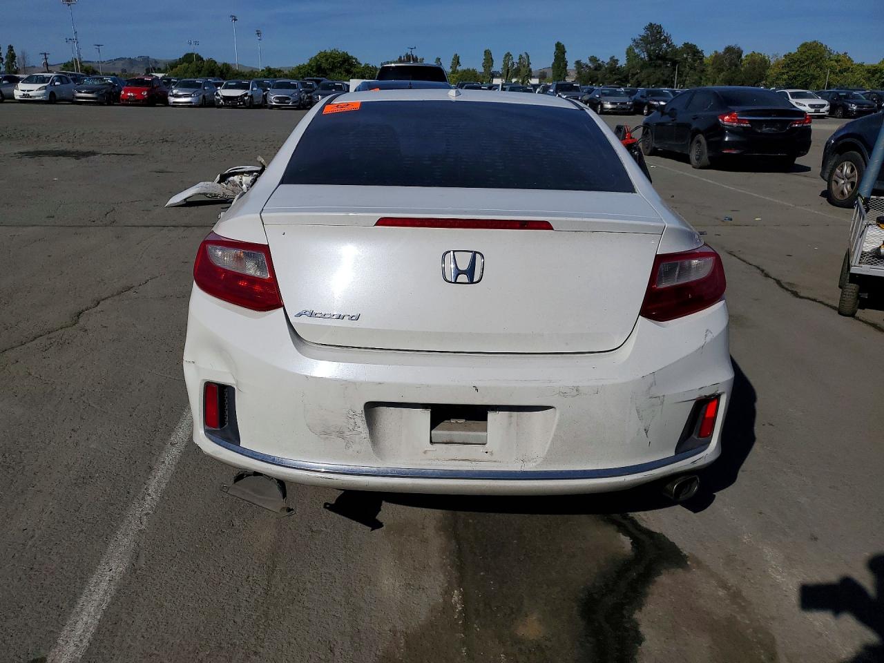 2013 Honda Accord Exl White vin: 1HGCT1B88DA008216