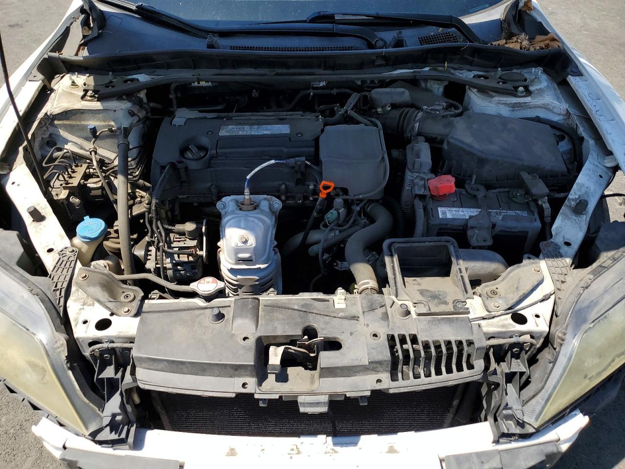 2015 Honda Accord Exl Белый vin: 1HGCT1B88FA012107