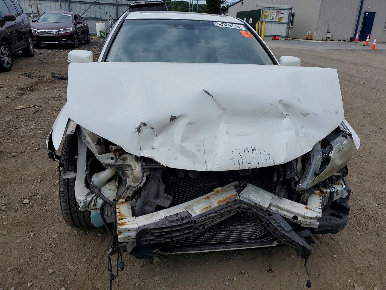 2013 Honda Accord Exl White vin: 1HGCT1B89DA006538
