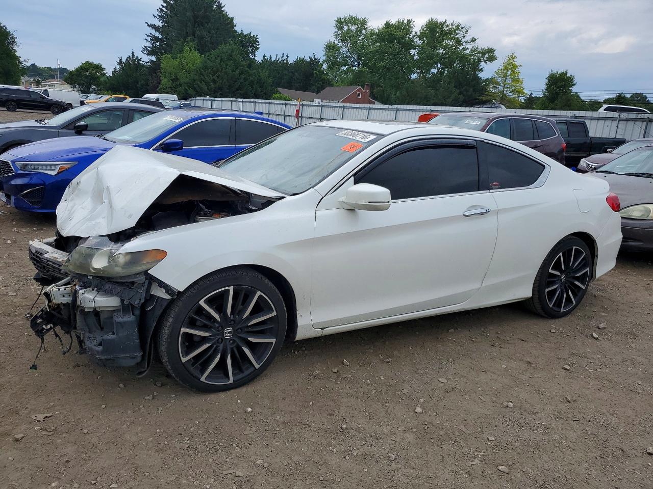 2013 Honda Accord Exl White vin: 1HGCT1B89DA006538
