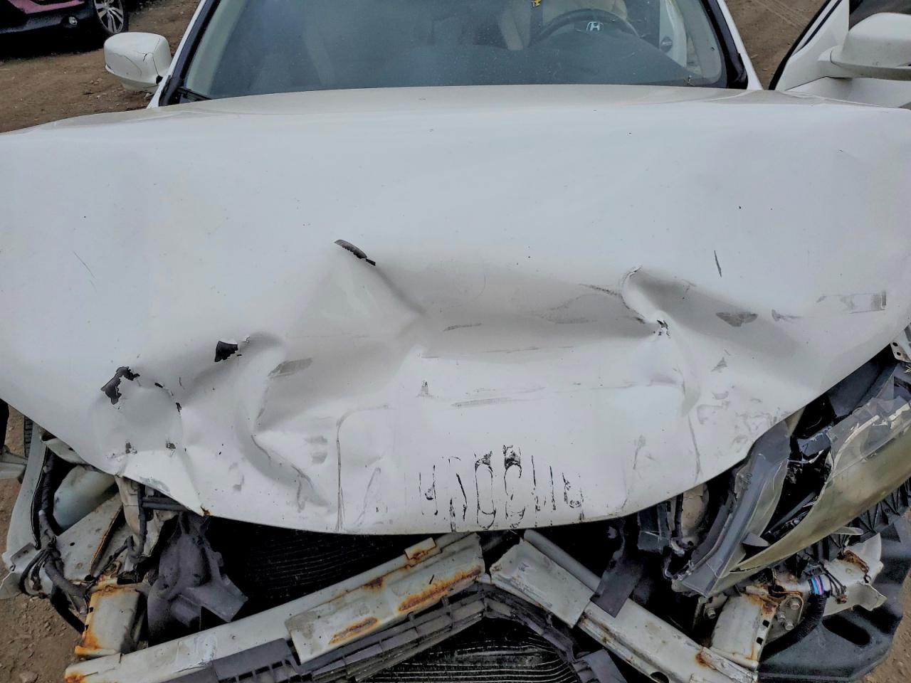 2013 Honda Accord Exl White vin: 1HGCT1B89DA006538