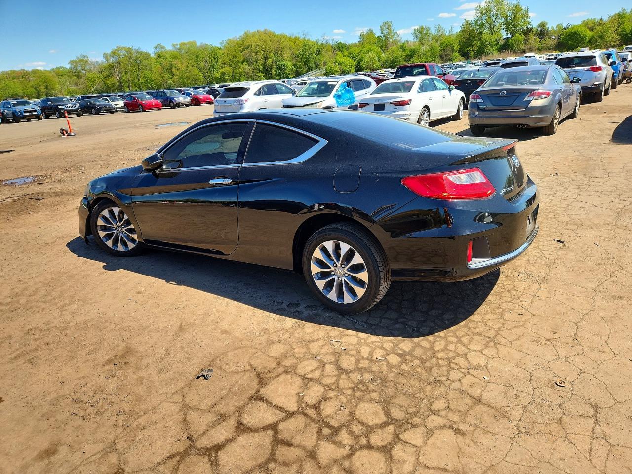 2014 Honda Accord Exl Black vin: 1HGCT1B89EA007478