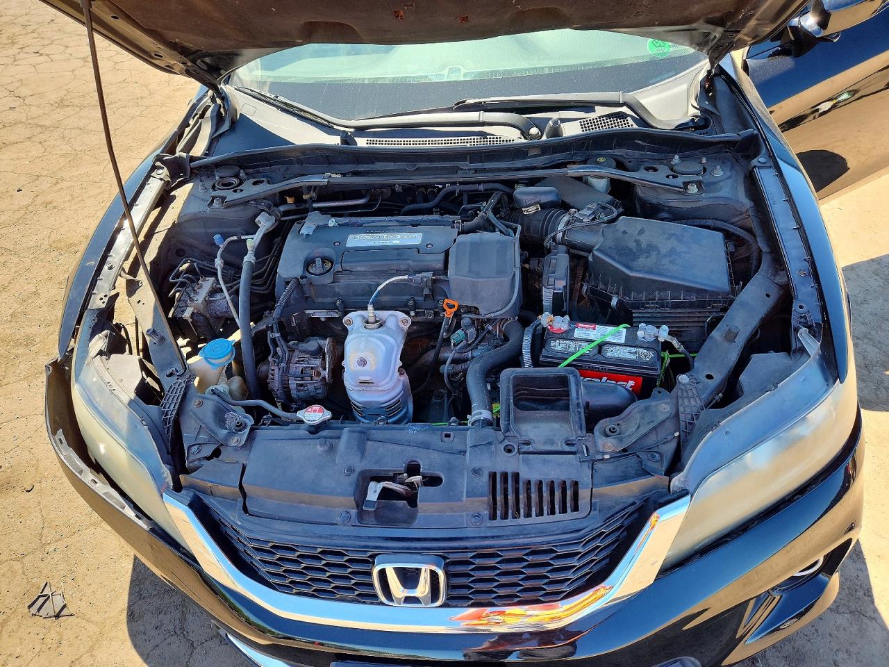 2014 Honda Accord Exl Black vin: 1HGCT1B89EA007478