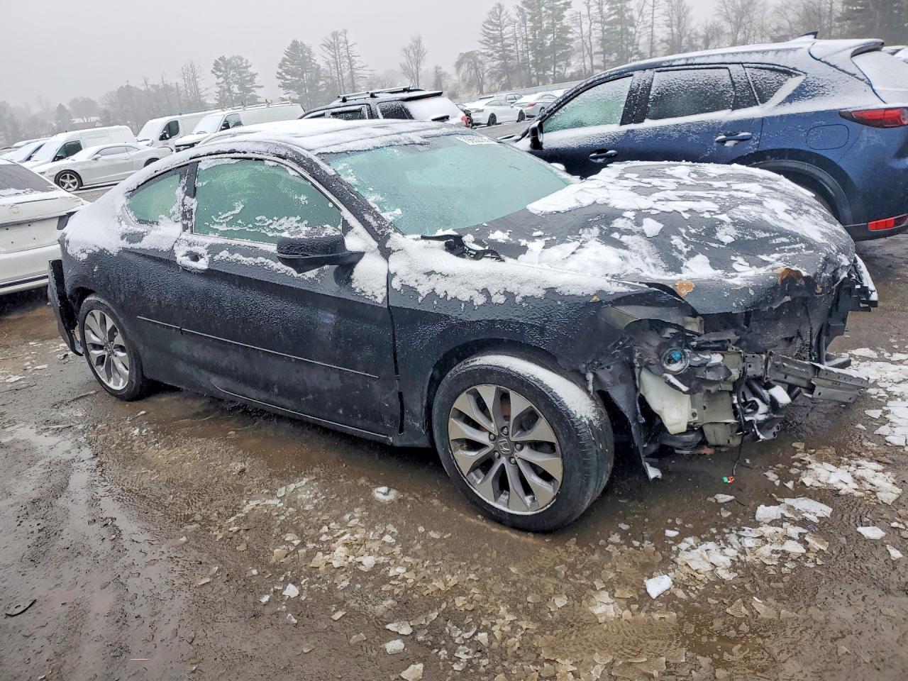 2013 Honda Accord Exl Black vin: 1HGCT1B8XDA007780