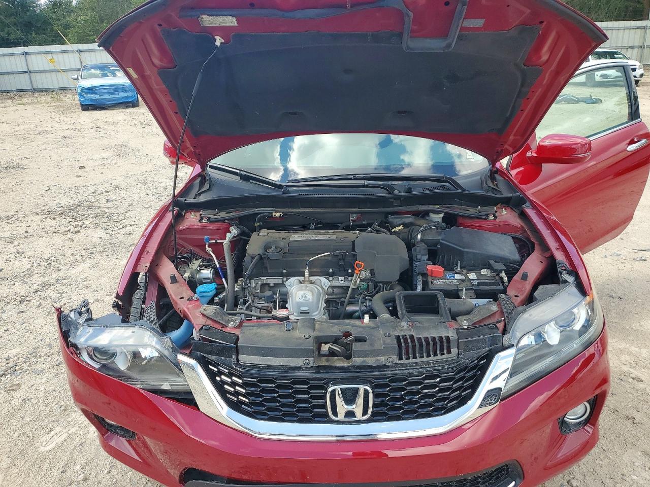 2013 Honda Accord Exl Красный vin: 1HGCT1B8XDA019475