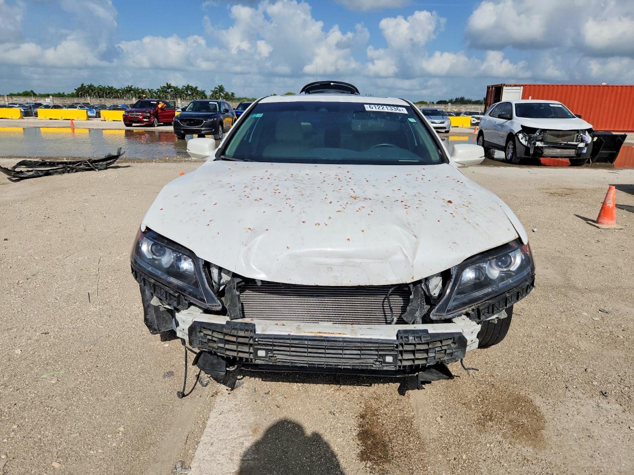 2014 Honda Accord Exl White vin: 1HGCT1B8XEA008381
