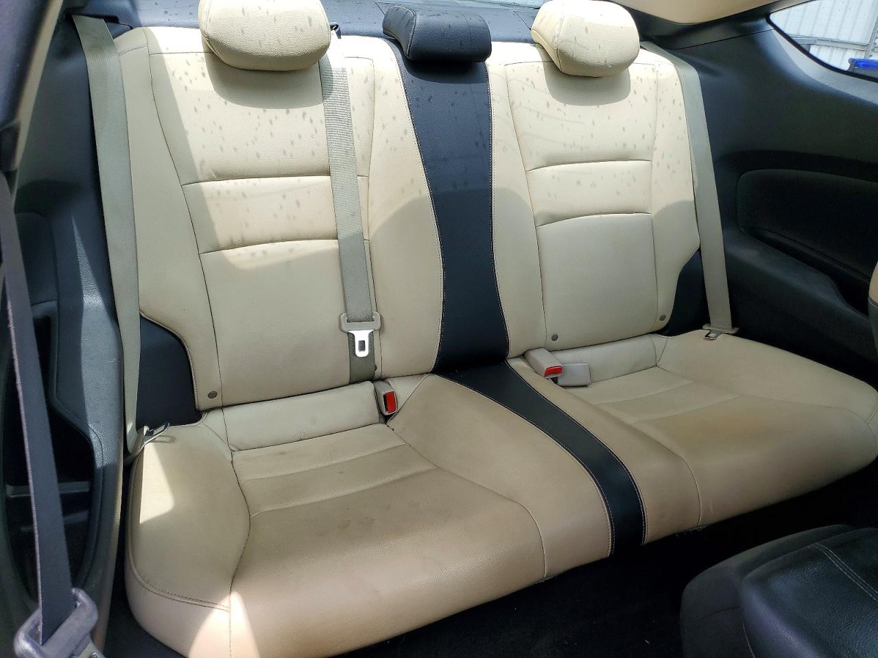 2013 Honda Accord Exl White vin: 1HGCT2B80DA006904