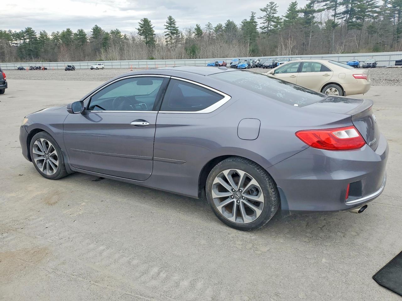 2014 Honda Accord Exl Gray vin: 1HGCT2B80EA007567