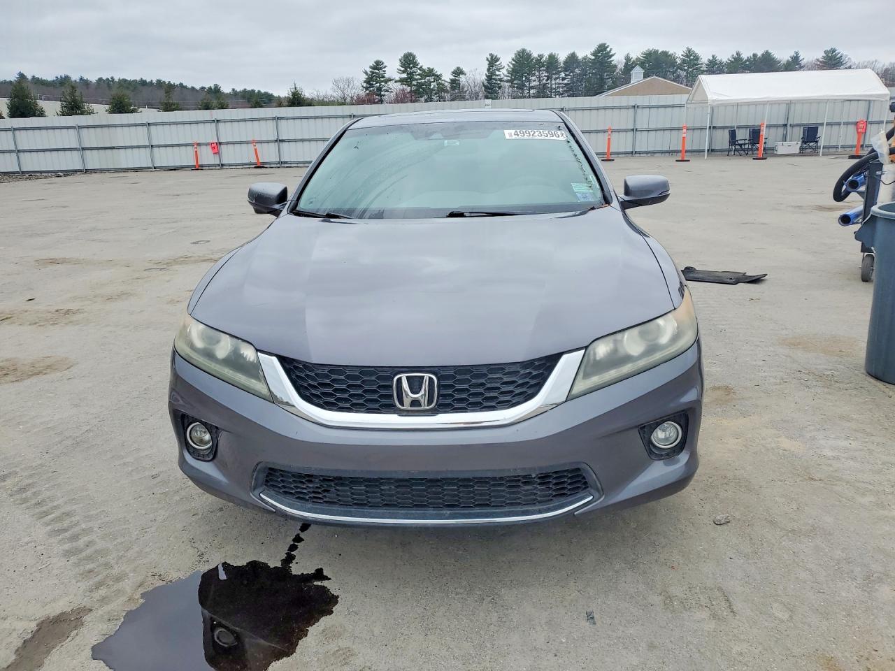 2014 Honda Accord Exl Gray vin: 1HGCT2B80EA007567