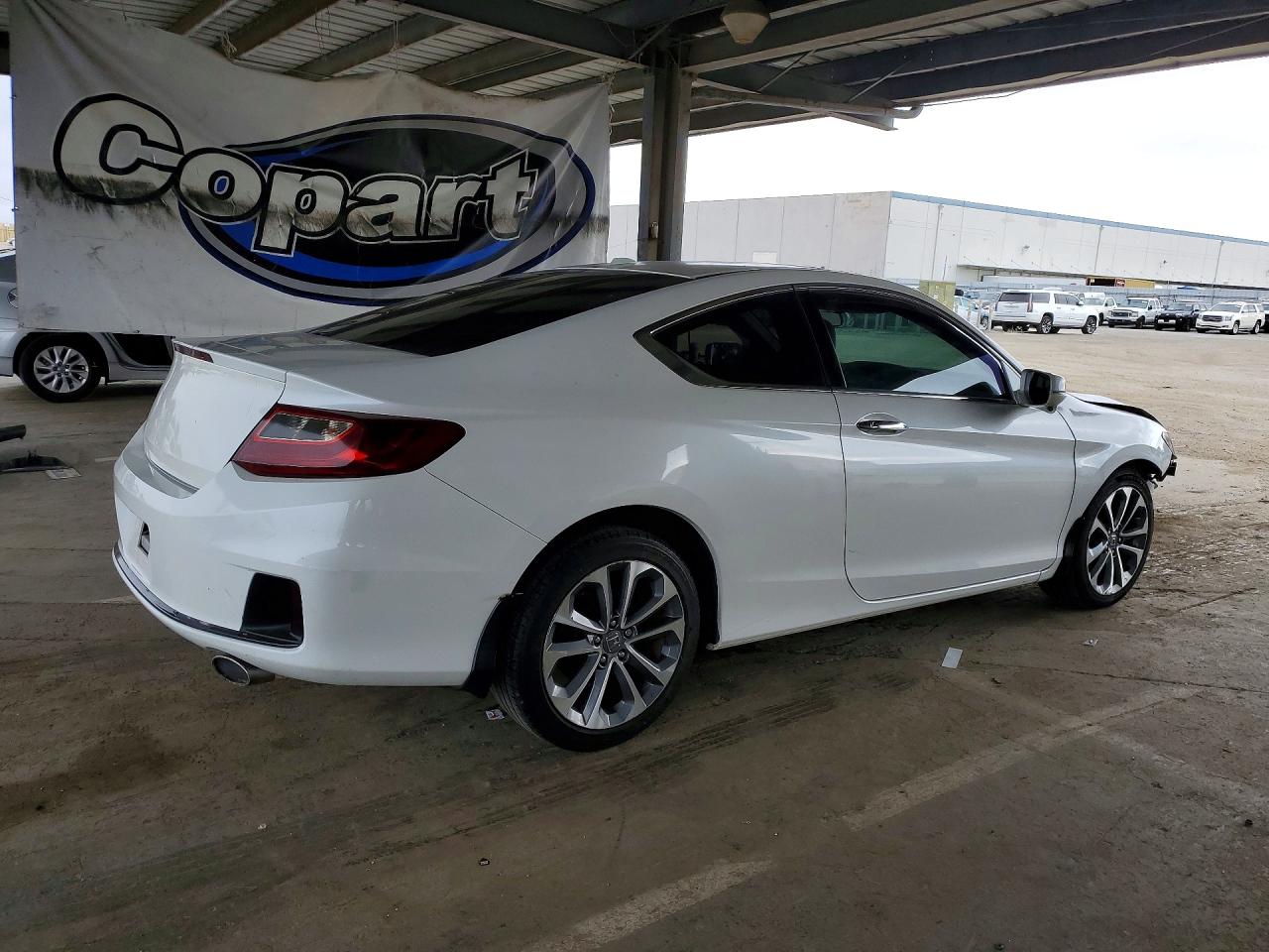 2013 Honda Accord Exl Белый vin: 1HGCT2B81DA009133