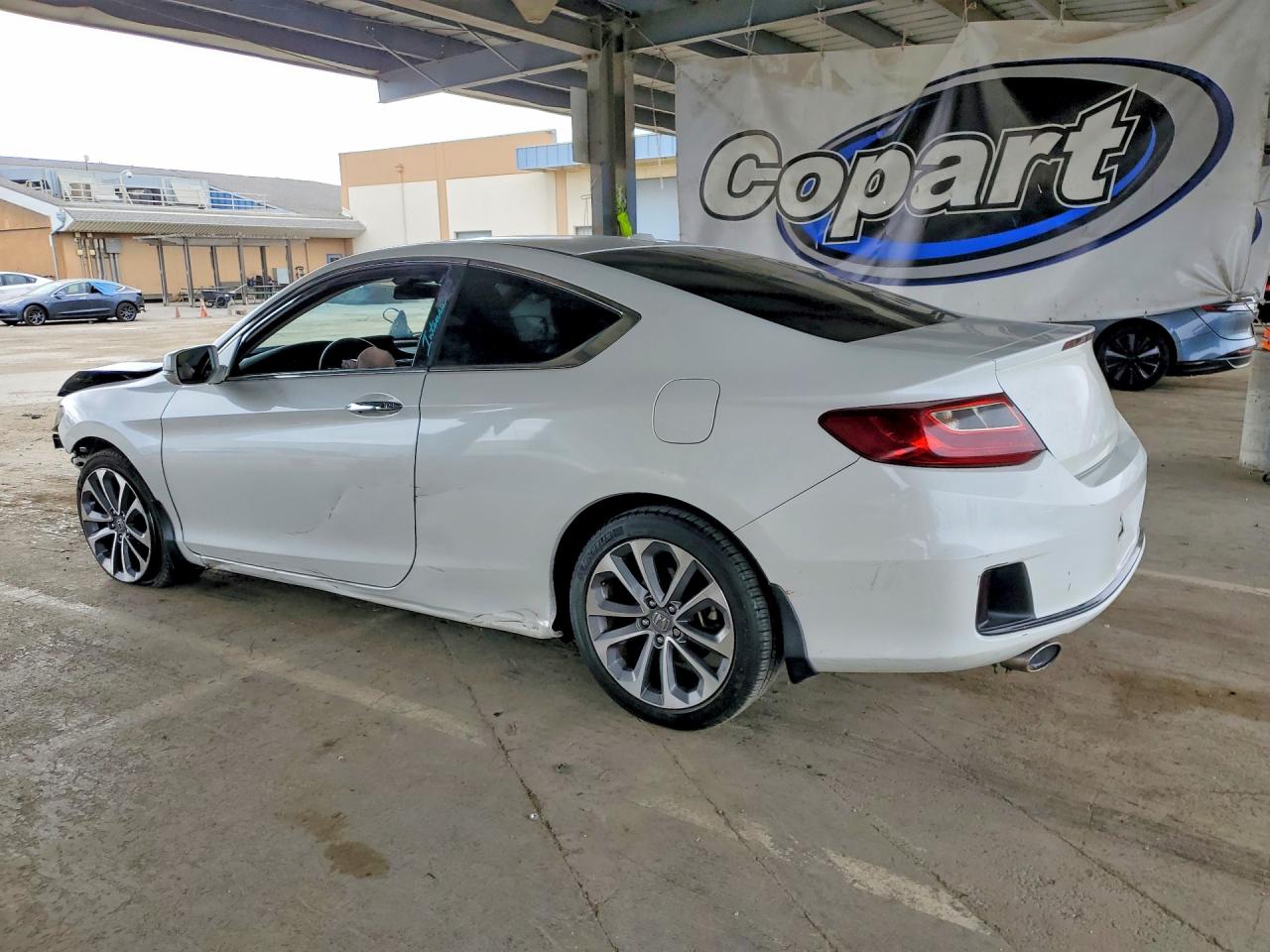 2013 Honda Accord Exl Белый vin: 1HGCT2B81DA009133