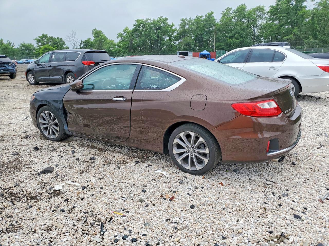 2013 Honda Accord Exl Brown vin: 1HGCT2B81DA012162