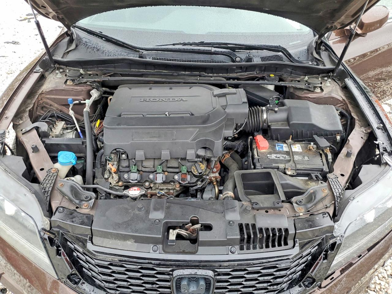 2013 Honda Accord Exl Brown vin: 1HGCT2B81DA012162