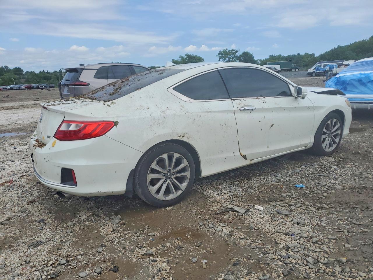 2013 Honda Accord Exl White vin: 1HGCT2B82DA000621