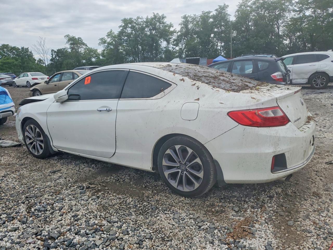 2013 Honda Accord Exl White vin: 1HGCT2B82DA000621