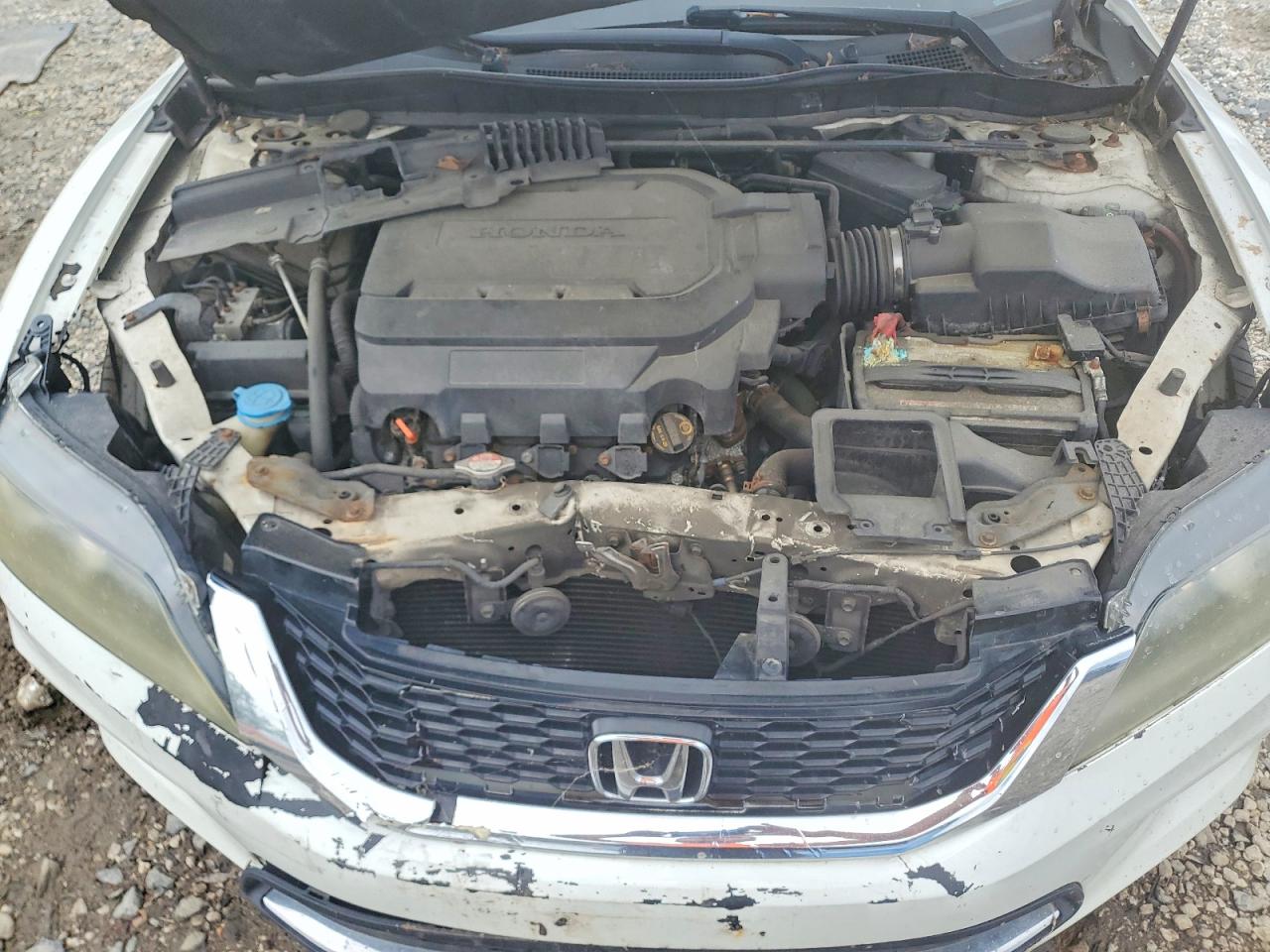 2013 Honda Accord Exl White vin: 1HGCT2B82DA000621