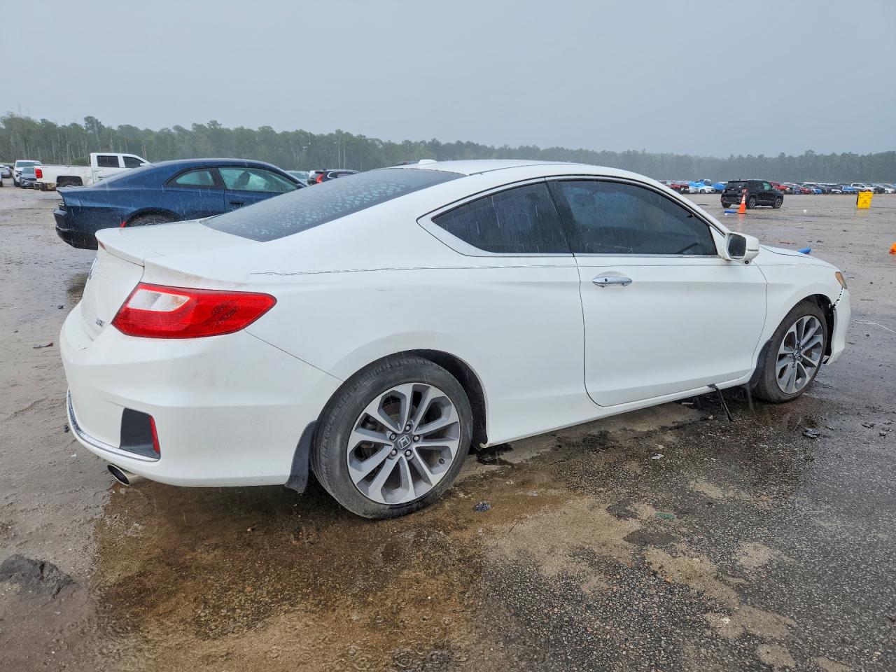 2013 Honda Accord Exl White vin: 1HGCT2B83DA005200