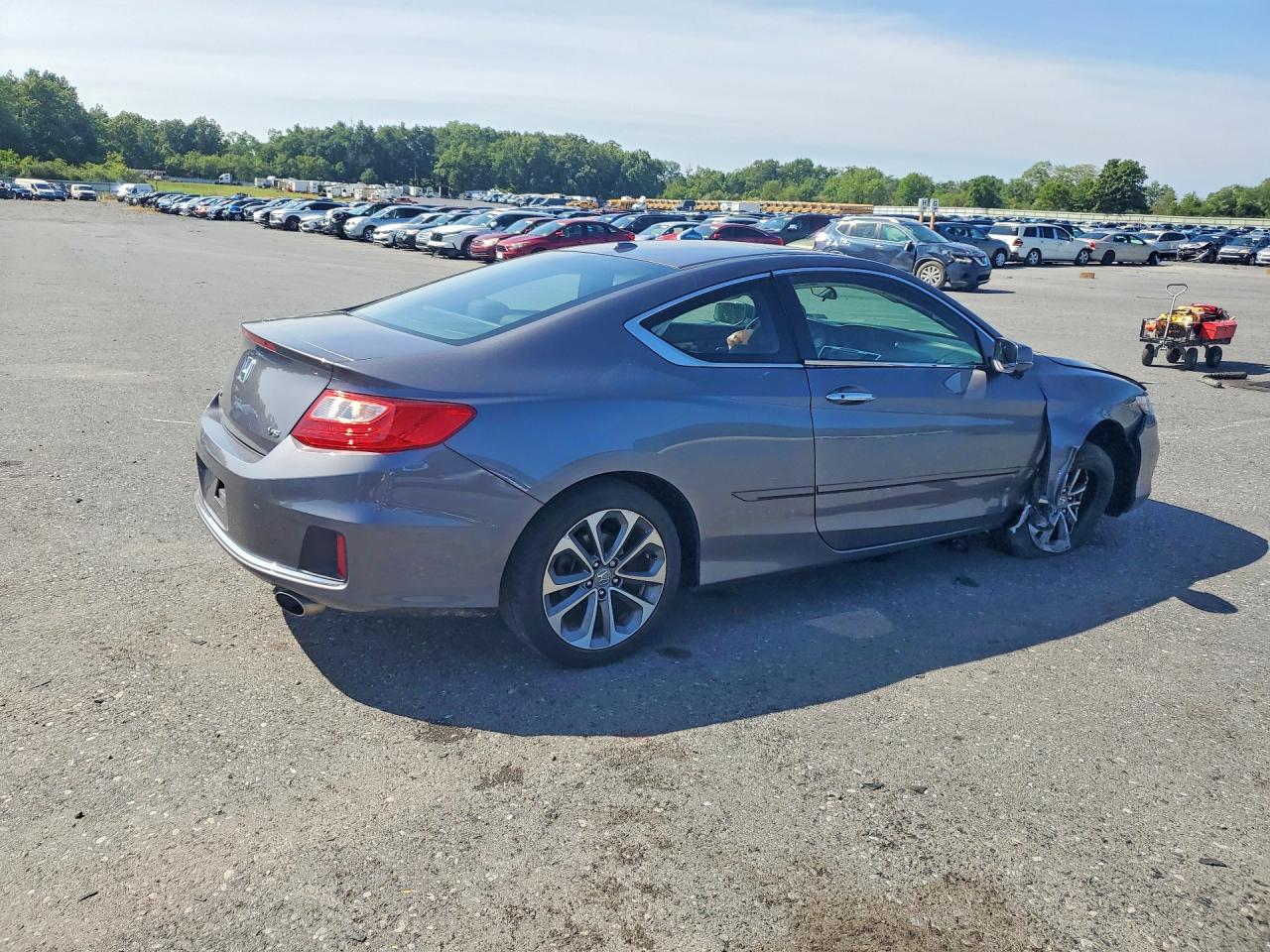 2013 Honda Accord Exl Серый vin: 1HGCT2B85DA009040