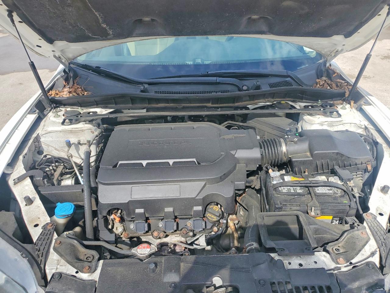 2014 Honda Accord Exl White vin: 1HGCT2B88EA002195