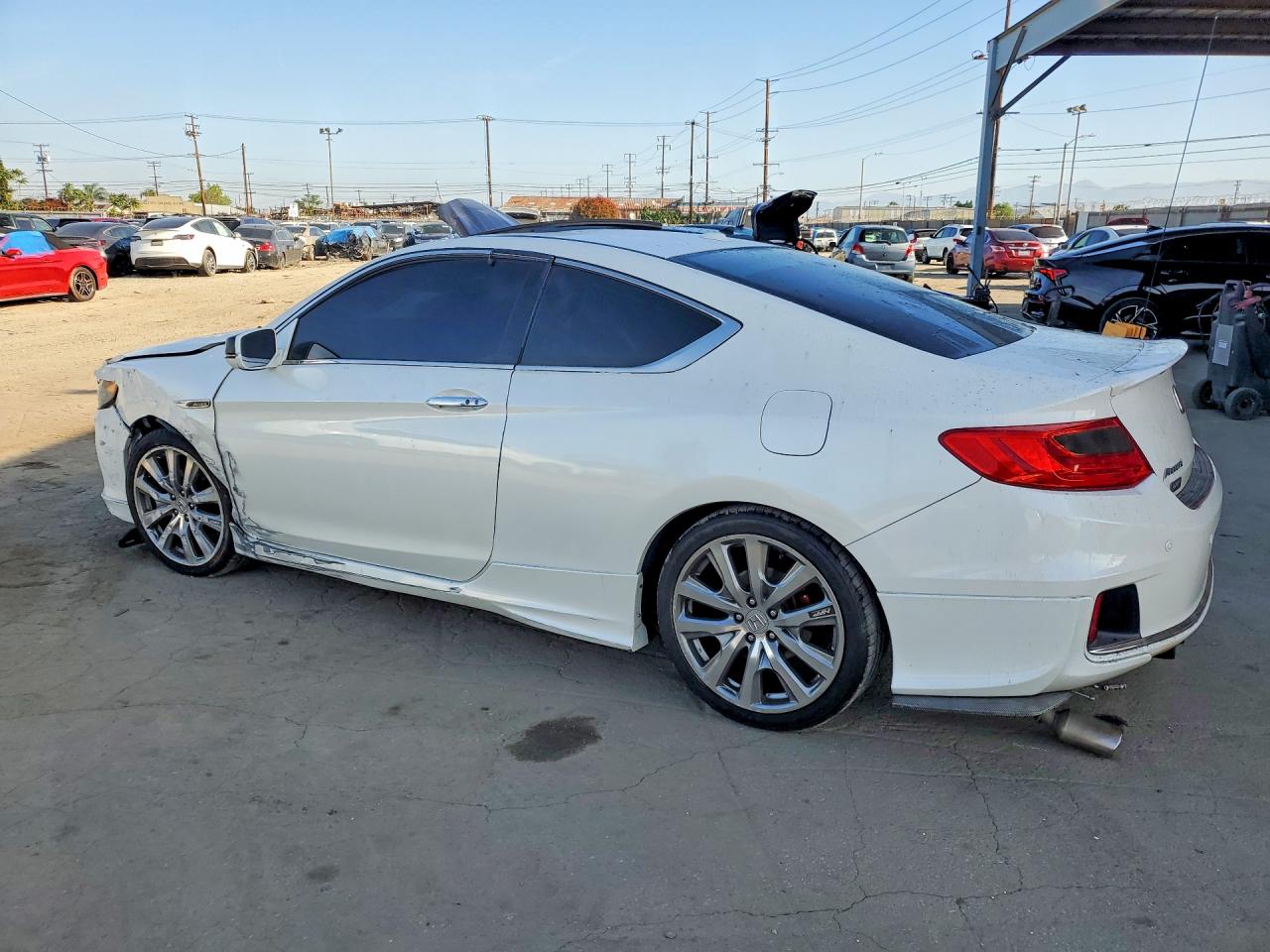 2014 Honda Accord Exl White vin: 1HGCT2B8XEA001985