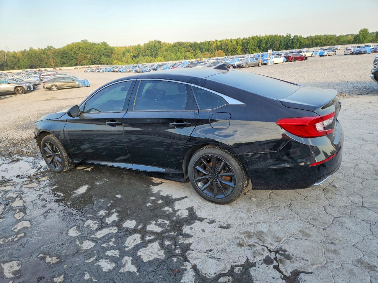 2021 Honda Accord Lx Black vin: 1HGCV1F11MA033322