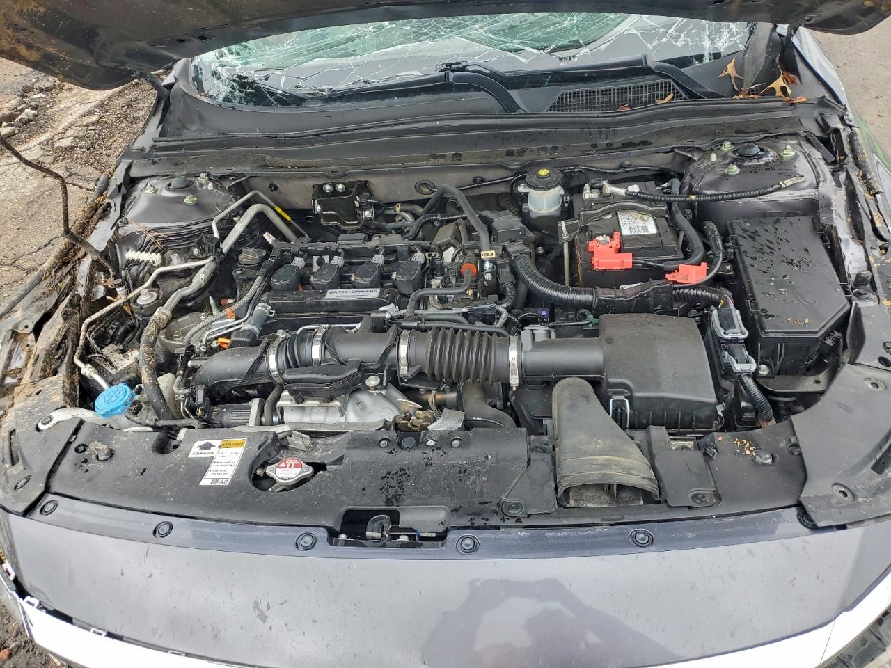 2020 Honda Accord Lx Серый vin: 1HGCV1F18LA075856