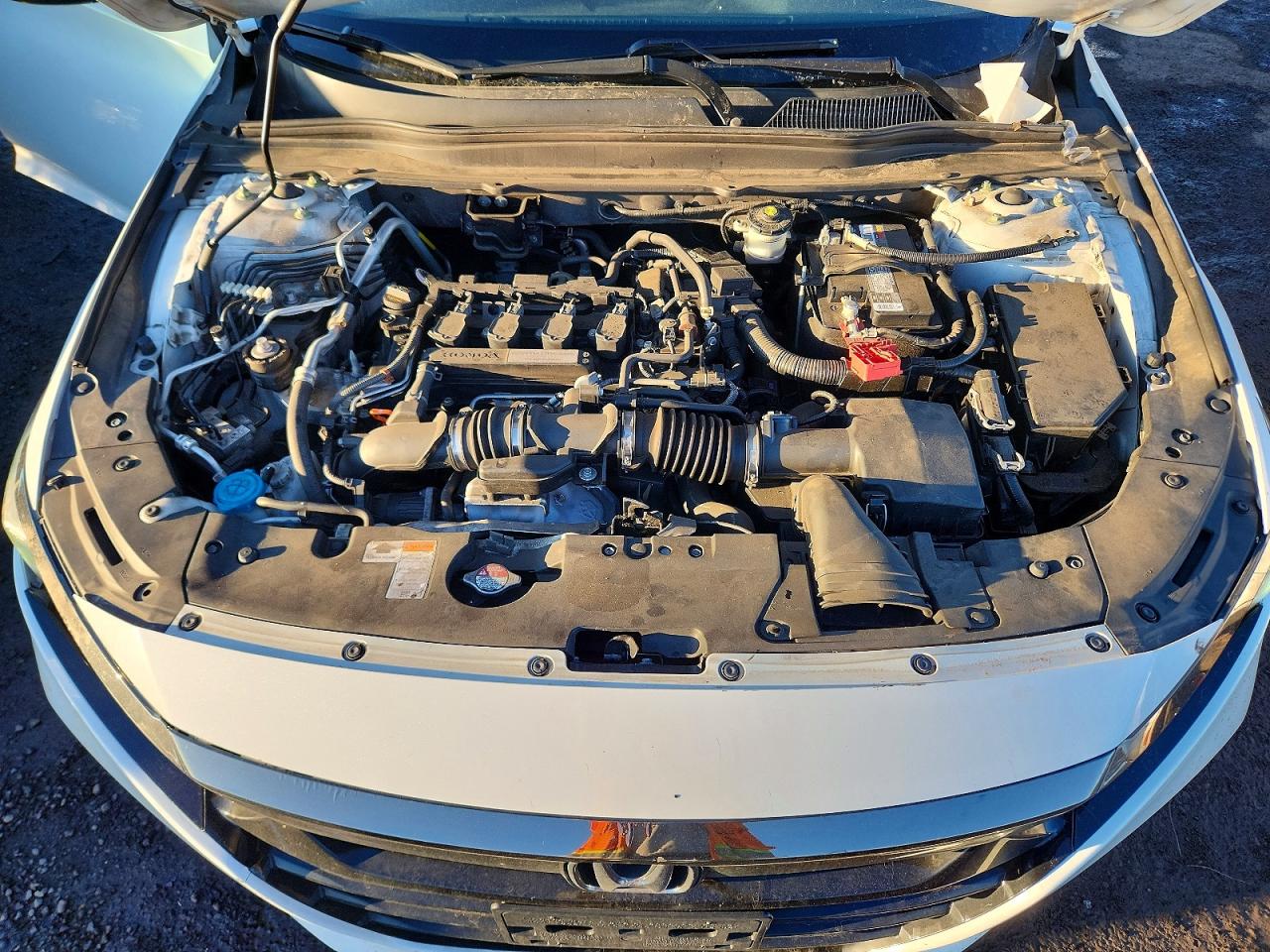 2019 Honda Accord Sport White vin: 1HGCV1F30KA162084