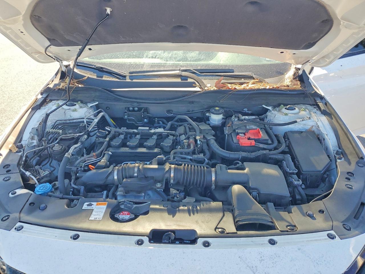 2022 Honda Accord Sport Белый vin: 1HGCV1F37NA111007