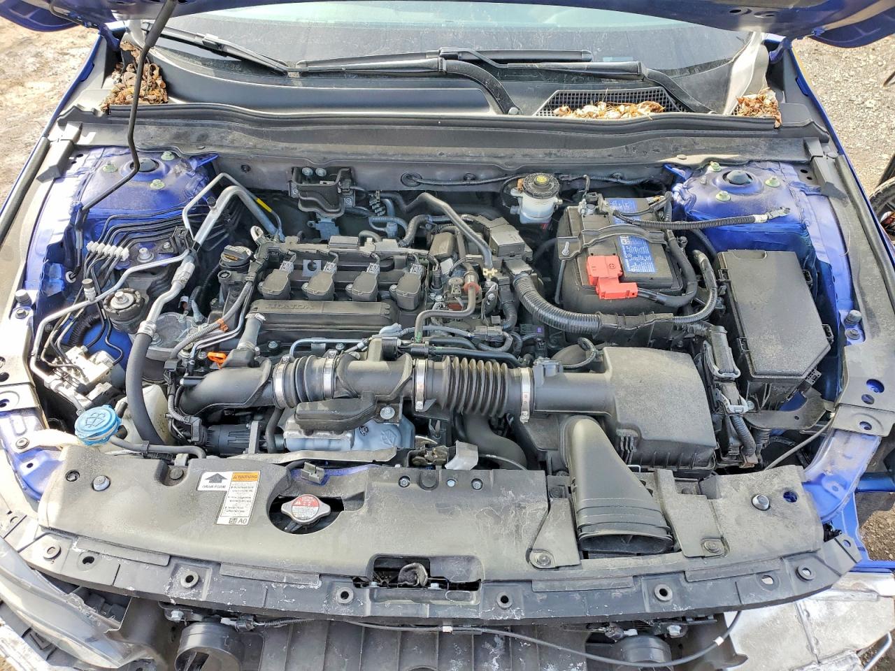 2021 Honda Accord Blue vin: 1HGCV1F40MA091108
