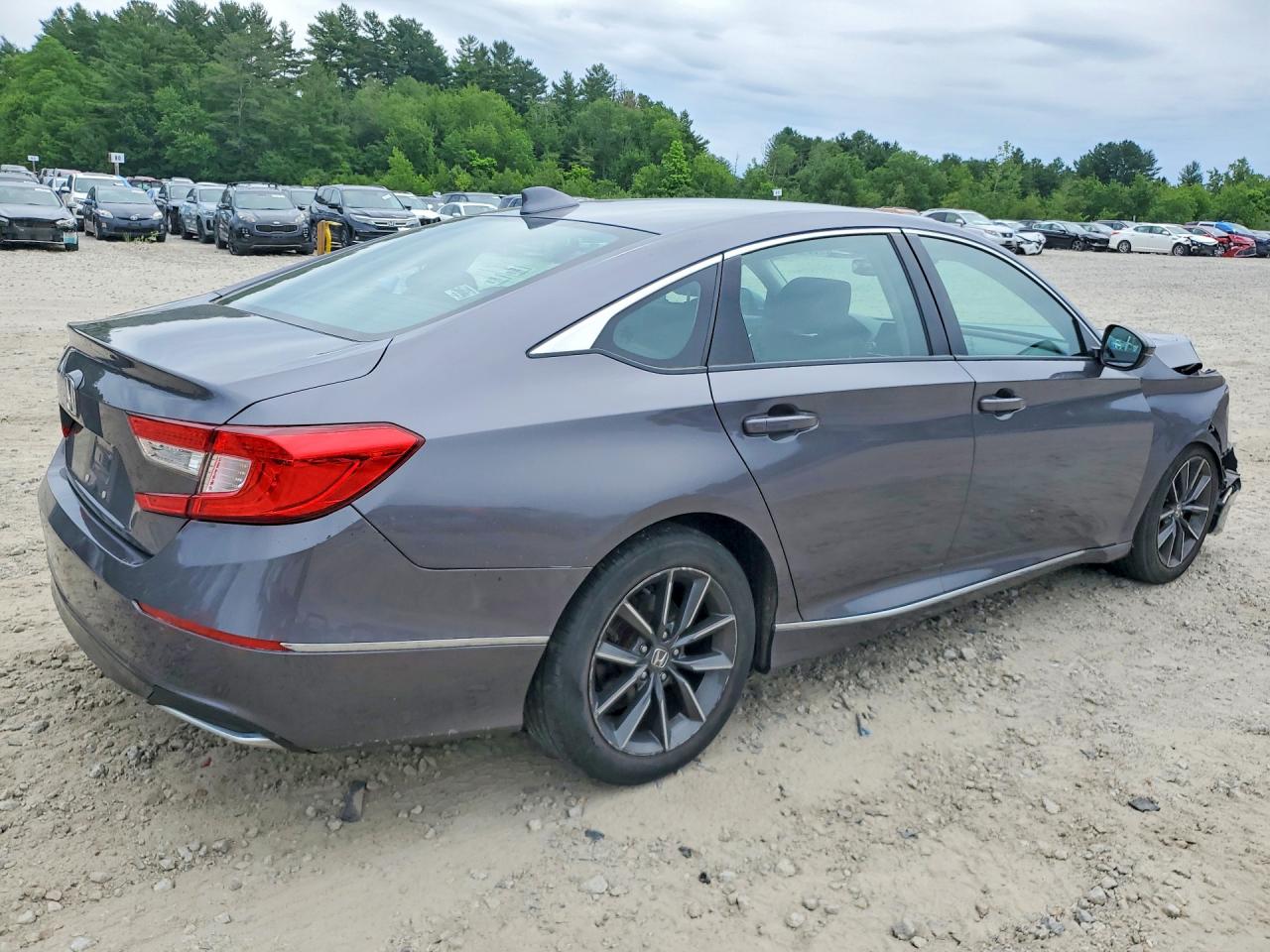 2021 Honda Accord Exl Gray vin: 1HGCV1F50MA056576