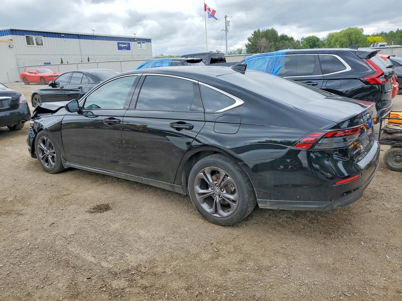 2024 Honda Accord Ex Black vin: 1HGCY1F30RA800898