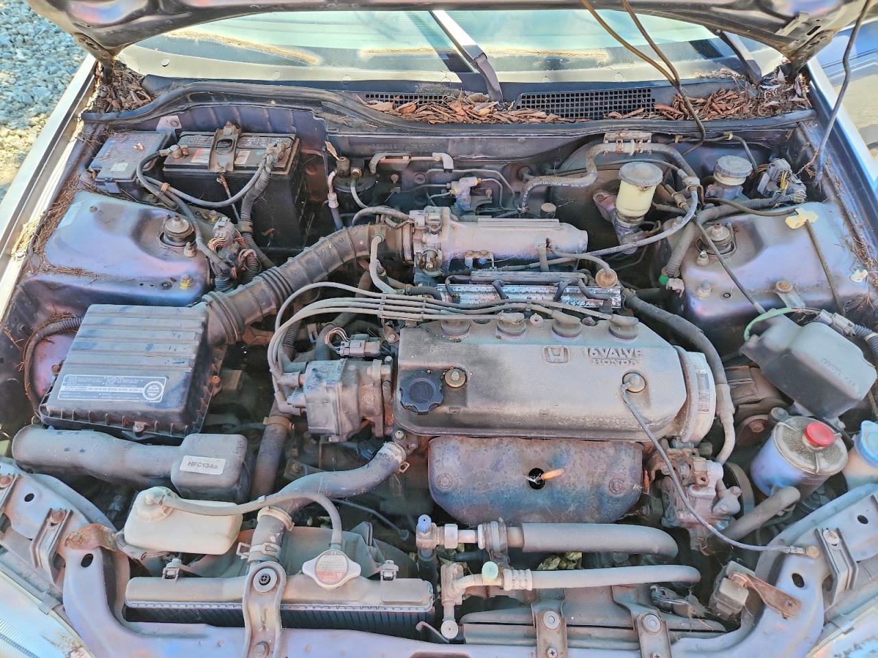 1994 Honda Civic Lx Gray vin: 1HGEG8550RL029077
