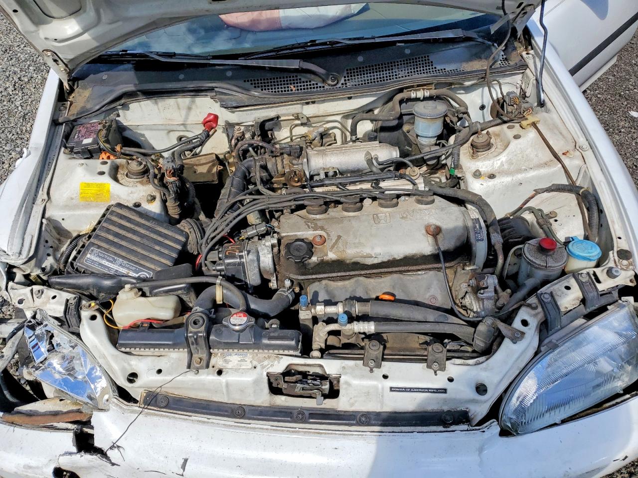 1994 Honda Civic Dx White vin: 1HGEG8642RL012769