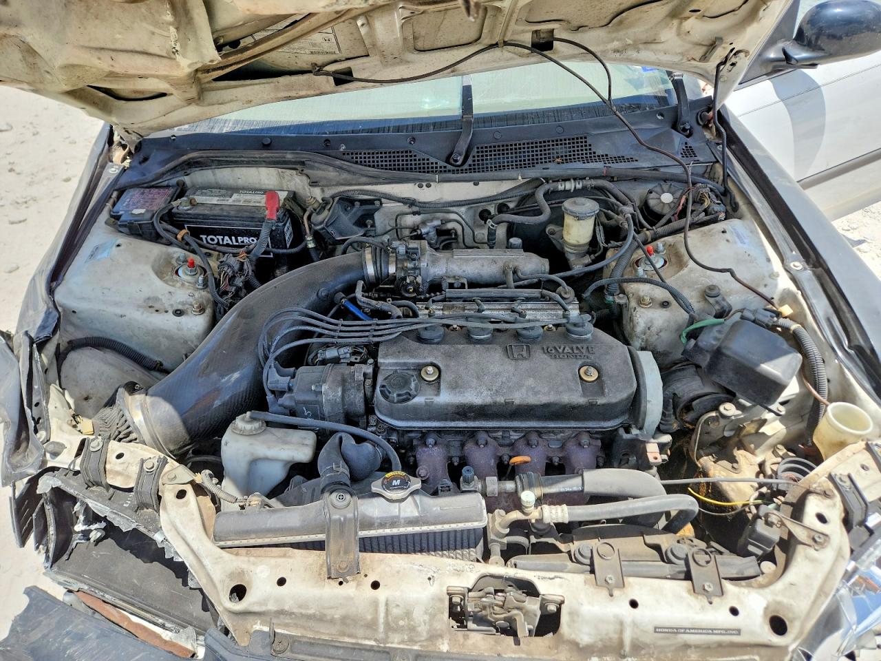 1995 Honda Civic Lx White vin: 1HGEG8657SL025452