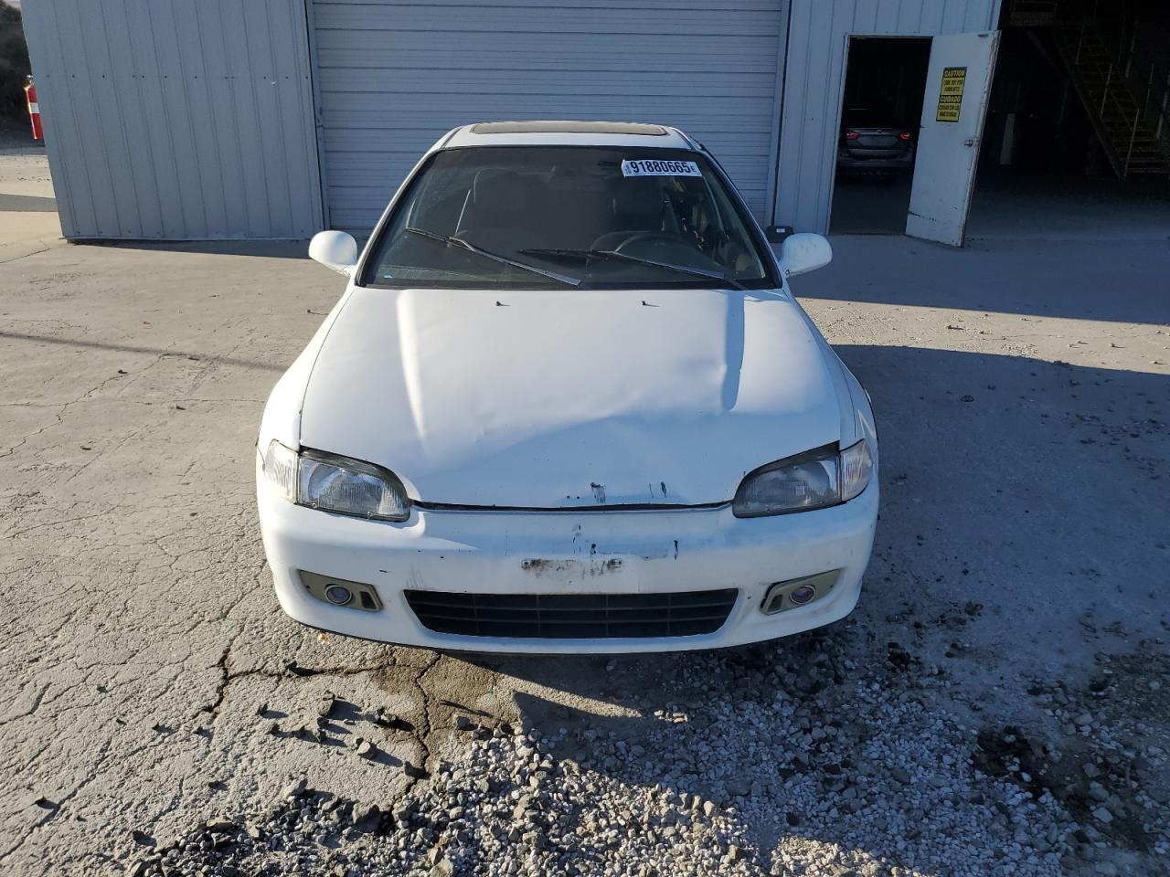1993 Honda Civic Ex White vin: 1HGEJ1255PL056091