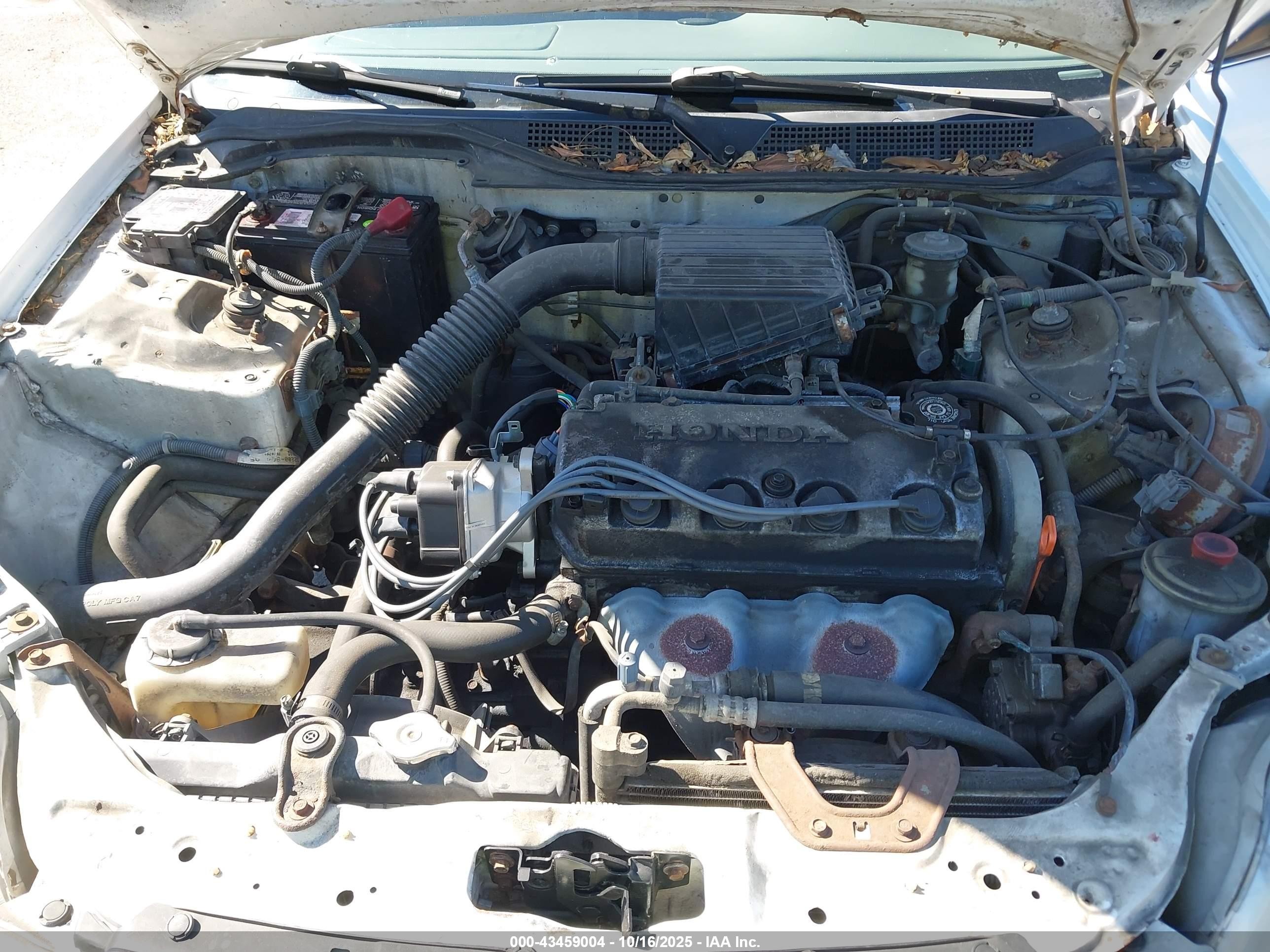 1998 Honda Civic Lx White vin: 1HGEJ6672WL047291