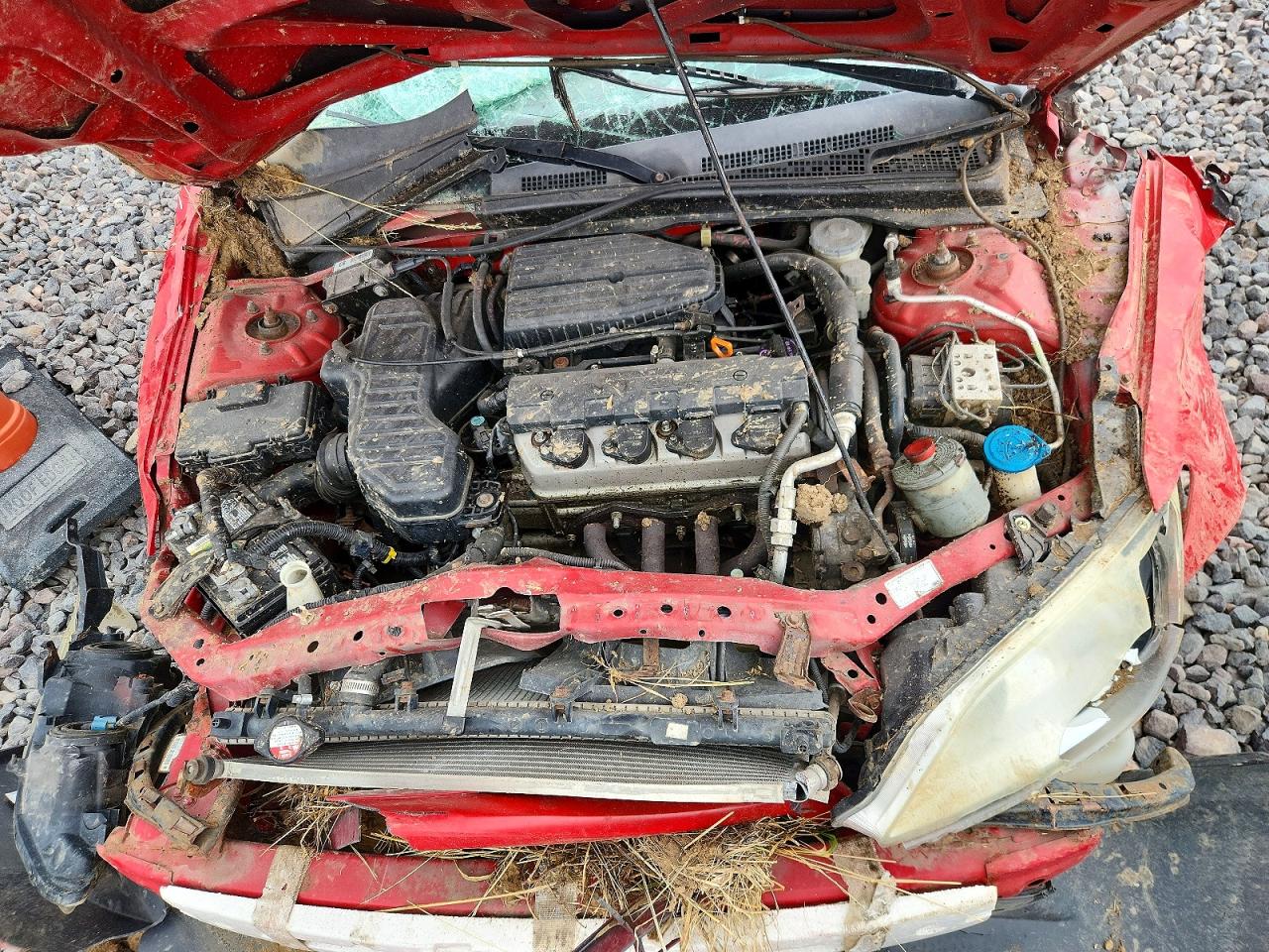 2005 Honda Civic Ex Red vin: 1HGEM21955L039614